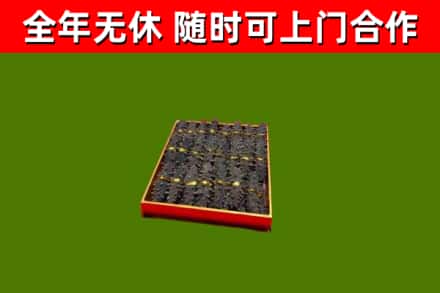 长汀县回收海参